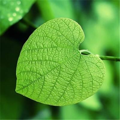 BOB·体育综合(综合)APP下载安装