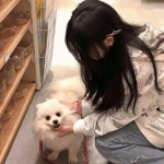 澳门·新葡澳京